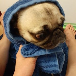 Meet your Posher, Deena